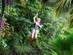 Zip-lining in Saint Lucia's rainforest