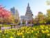 A view of Washington Square Park in New York on a bright spring day with daffodils and cherry blossom