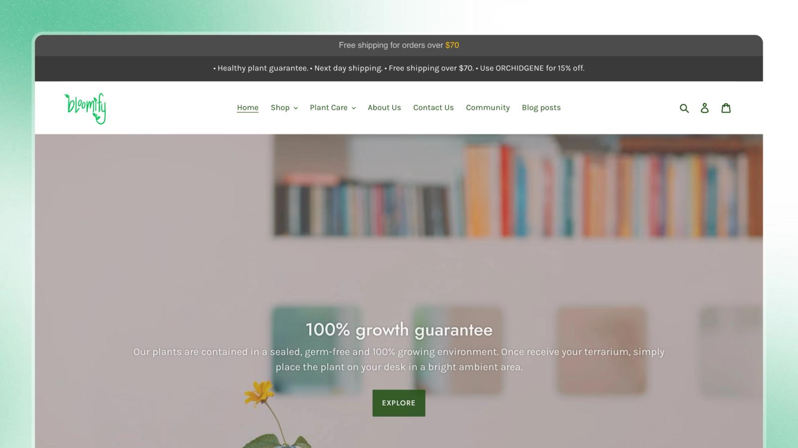 Bloomify — Magazin de plante, cu ghiduri de îngrijire