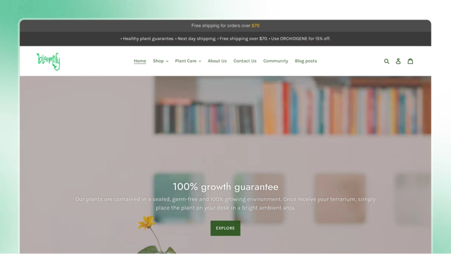 Bloomify — Magazin de plante, cu ghiduri de îngrijire