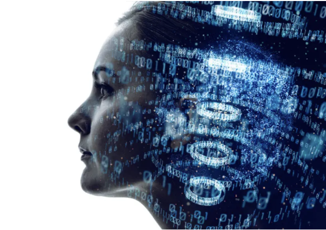 image-b9d5e8b1b7423b83524c3be4c91f21e36a9946c0-642x453-png