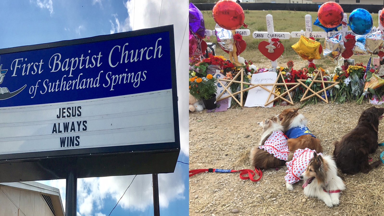 Angel Paws therapy dogs serving after the Sutherland Springs church shooting