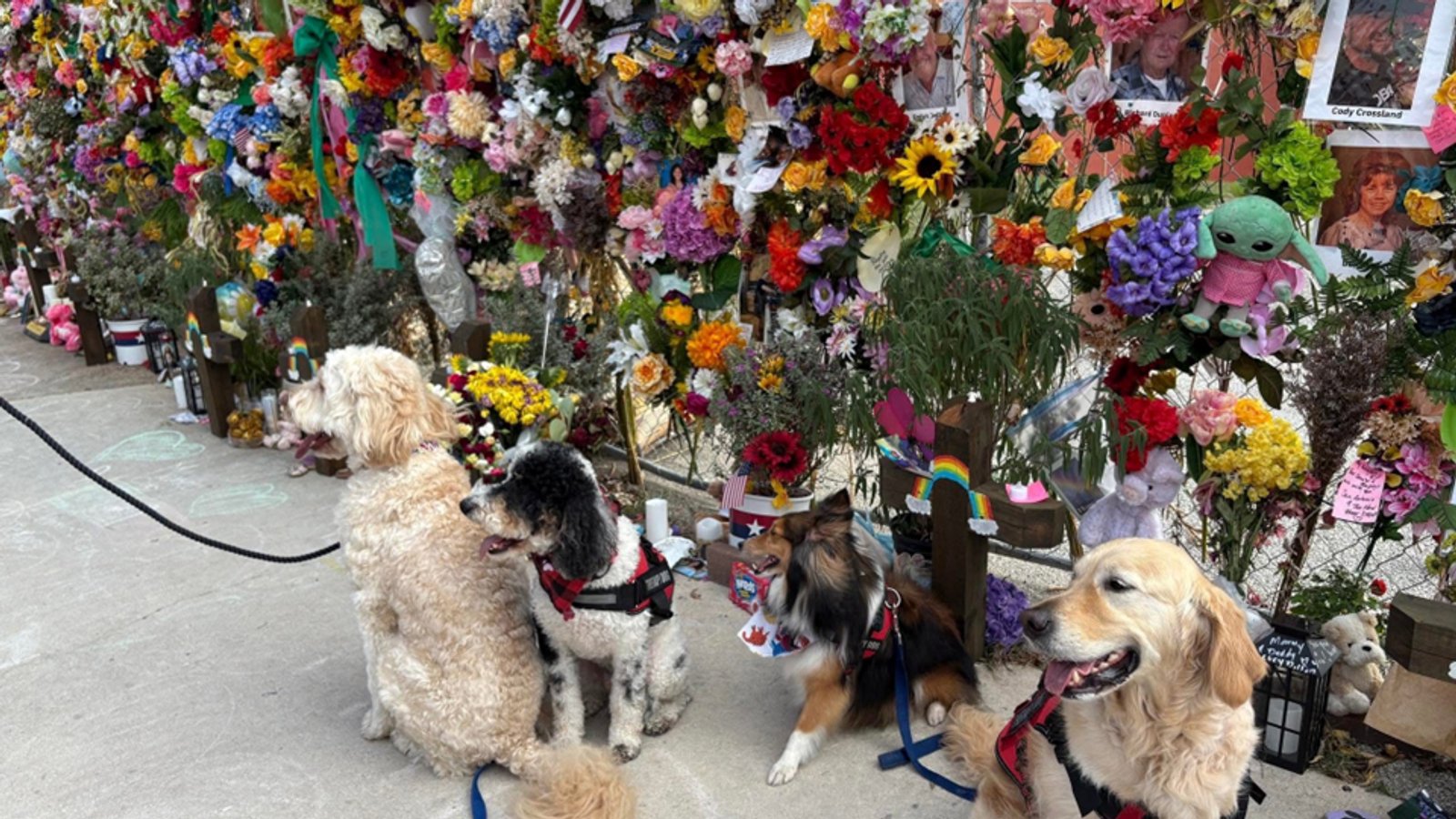 Memorial flowers in Kerrville after Hill Country flooding