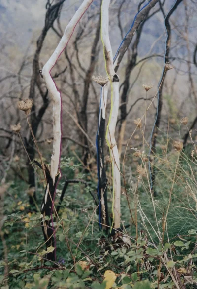 Valerie De Backer Webdesign Webdevelopment Branding