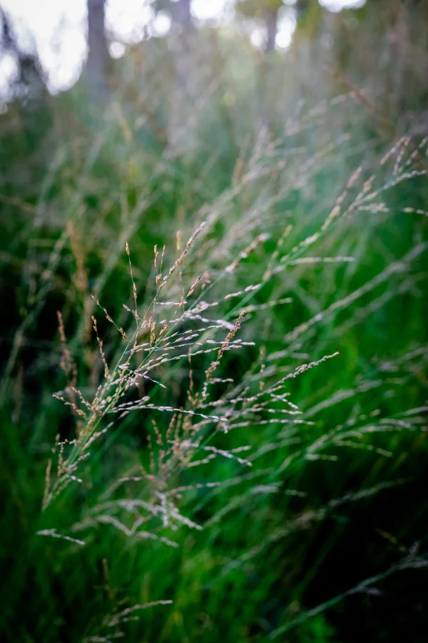 Onbegrensd Webdesign Webdevelopment