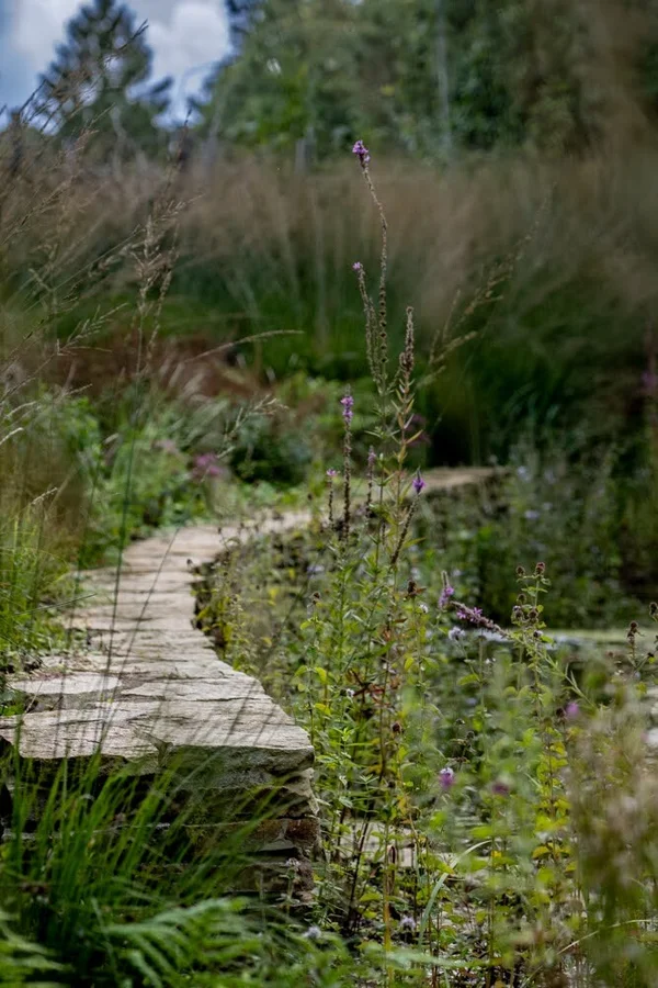 Onbegrensd Webdesign Webdevelopment