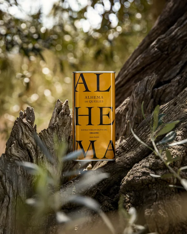 Secretos Ibericos Webdesign Webdevelopment