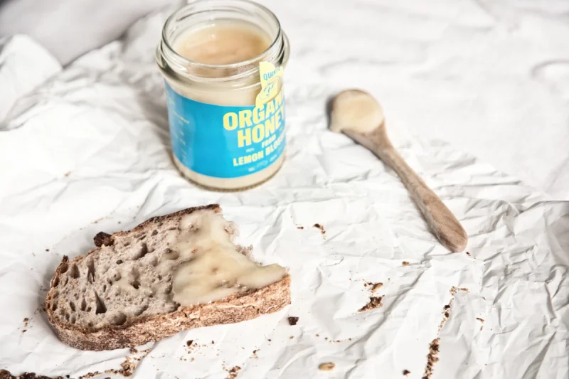 Quintu Webdesign Webdevelopment