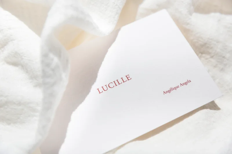 Mr.Ed Webdesign Webdevelopment Branding