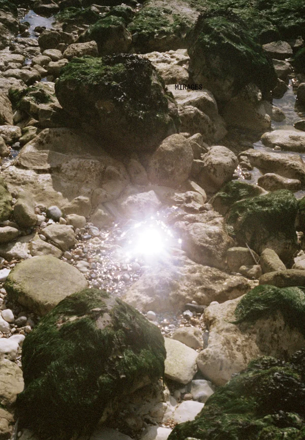 Valerie De Backer Webdesign Webdevelopment Branding