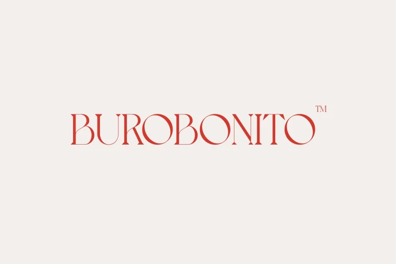 Buro Bonito Webdesign Webdevelopment Branding