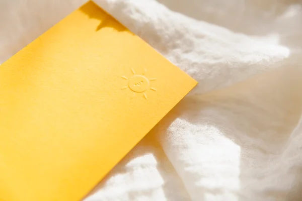 Mr.Ed Webdesign Webdevelopment Branding