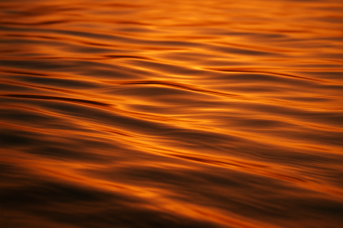 Svadhisthana sacral chakra symbol with orange lotus and VAM mantra