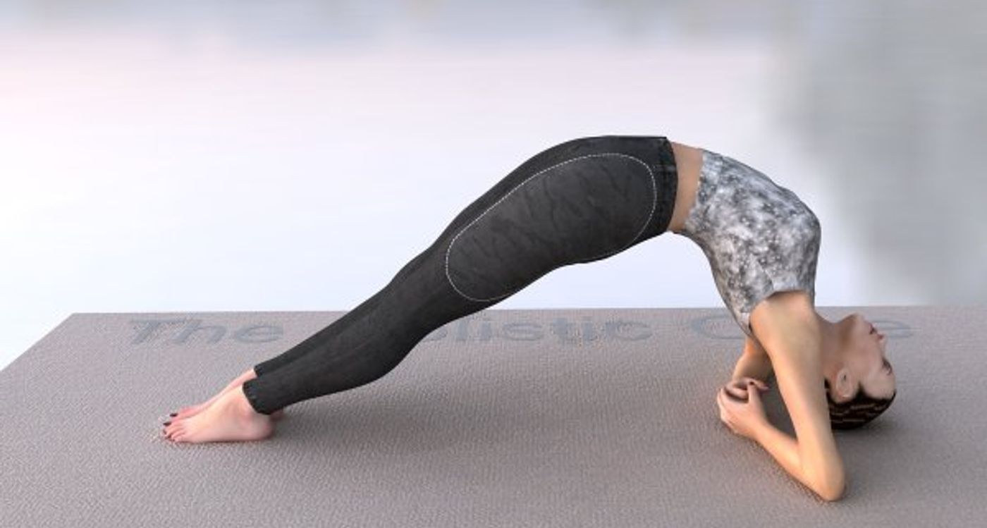 Dwi-Pada Viparita Dandasana | Embrace the Upward Facing Two-Foot Staff Yoga Pose