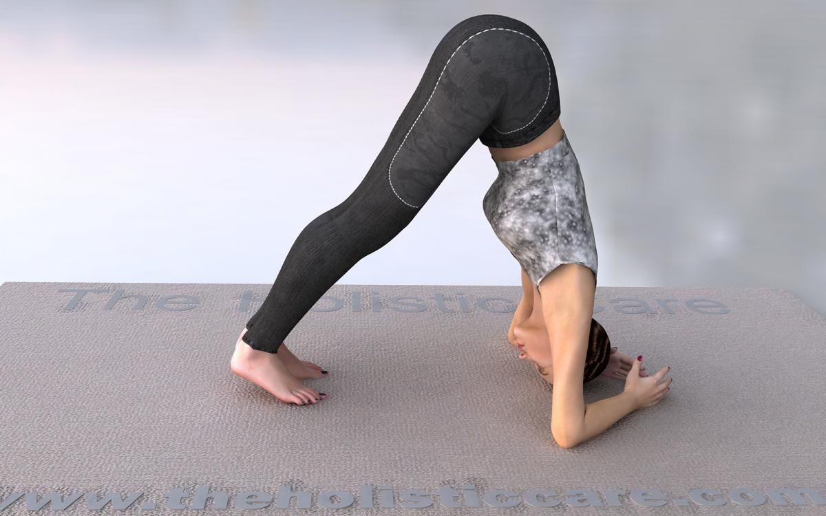 Dolphin Pose with forearms grounded, hips lifted, and spine long