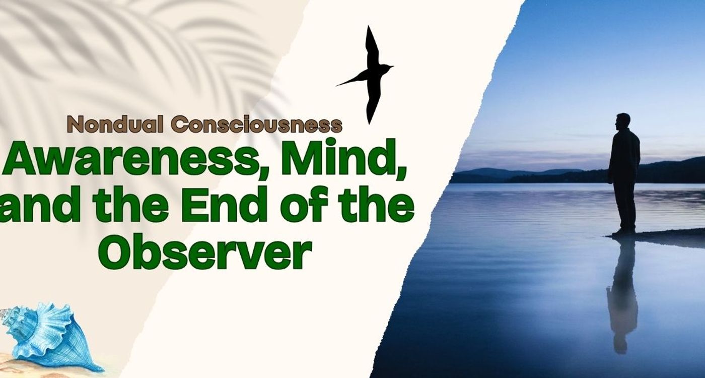Nondual Consciousness: Awareness, Mind, and the End of the Observer