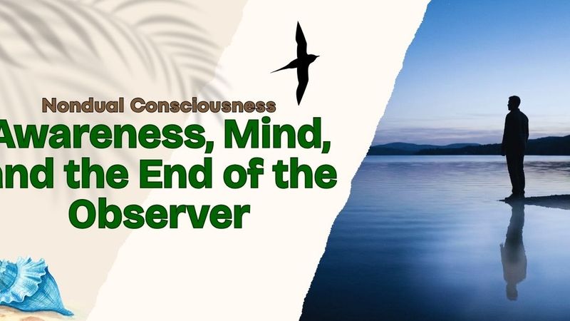 Nondual Consciousness: Awareness, Mind, and the End of the Observer