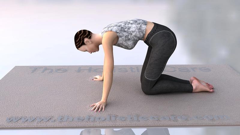Bidalasana- Big Cat Yoga Pose