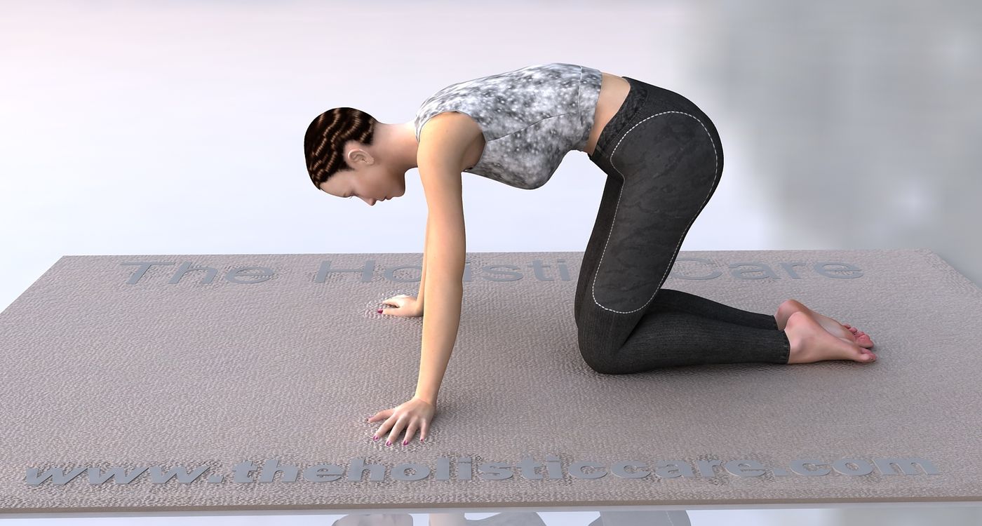 Bidalasana- Big Cat Yoga Pose