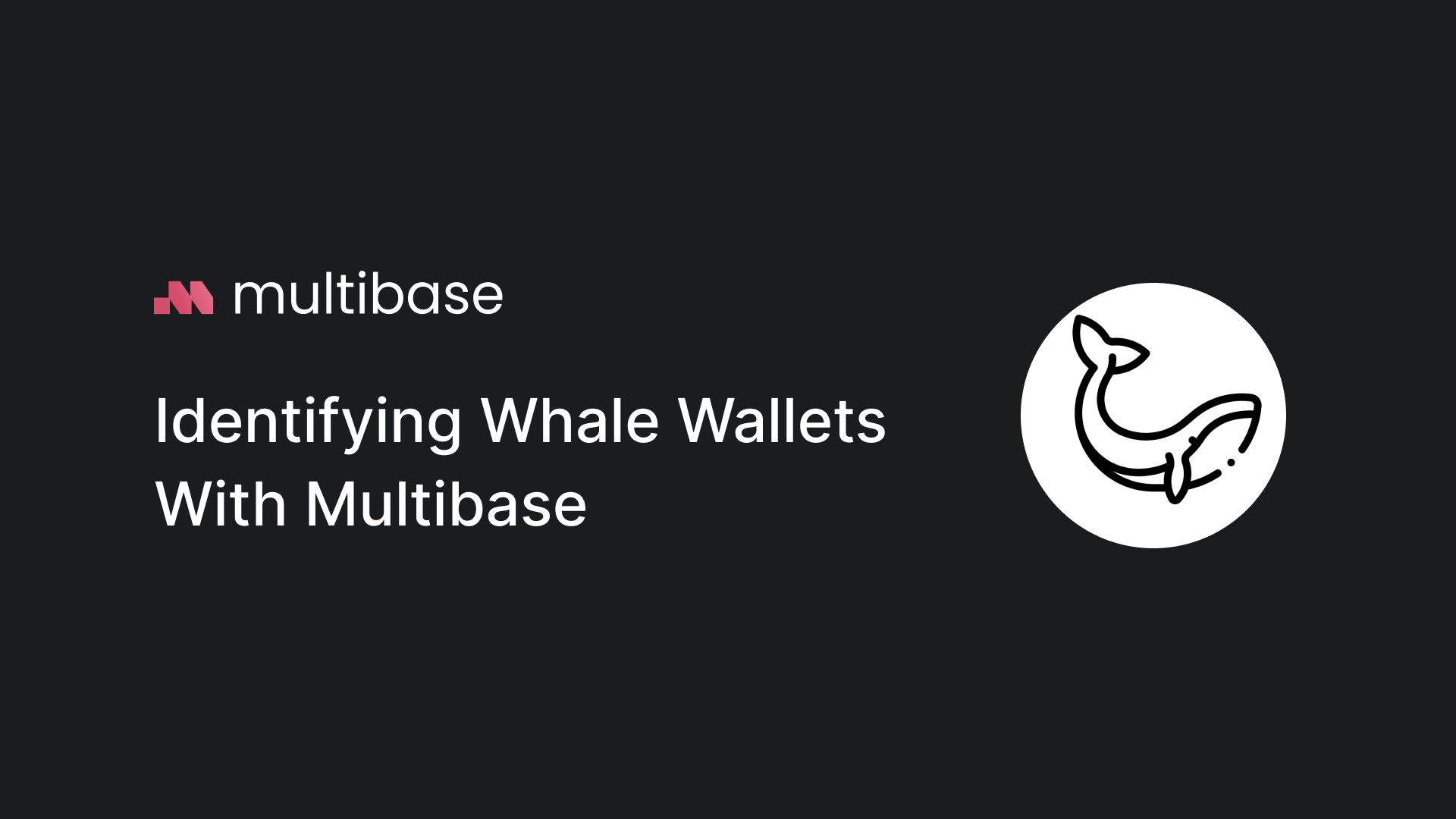 Identifying Whale Wallets with Multibase