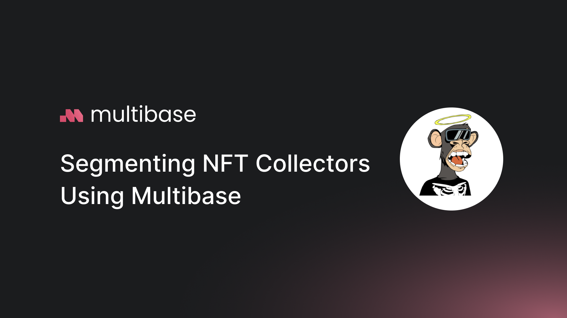 Segmenting NFT Collectors Using Multibase