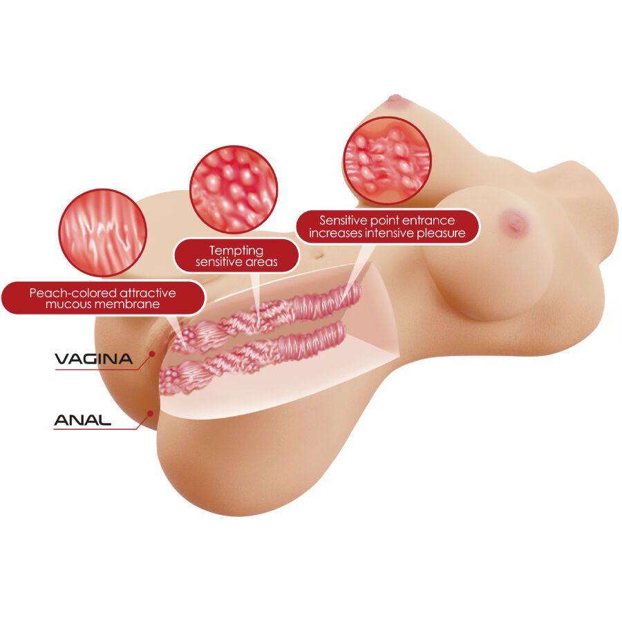 Torso femenino realista vagina y anal - Hetty  foto 5