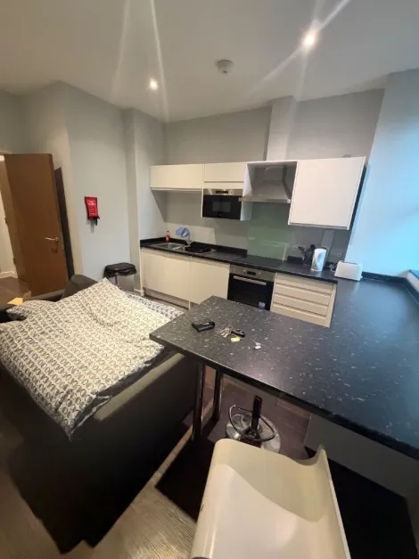 1 Bed Flat furnished is available to rent in Hayes Harlington UB3 - View 8