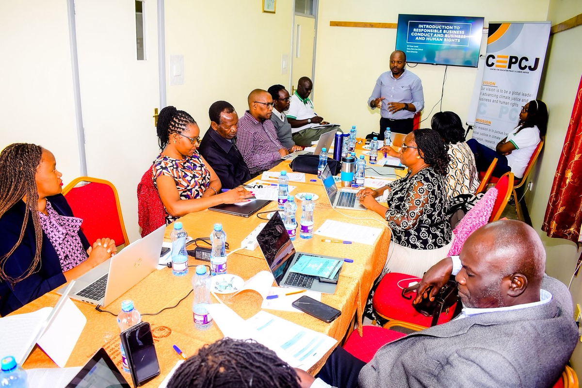 An image of a CEPCJ meeting in progress