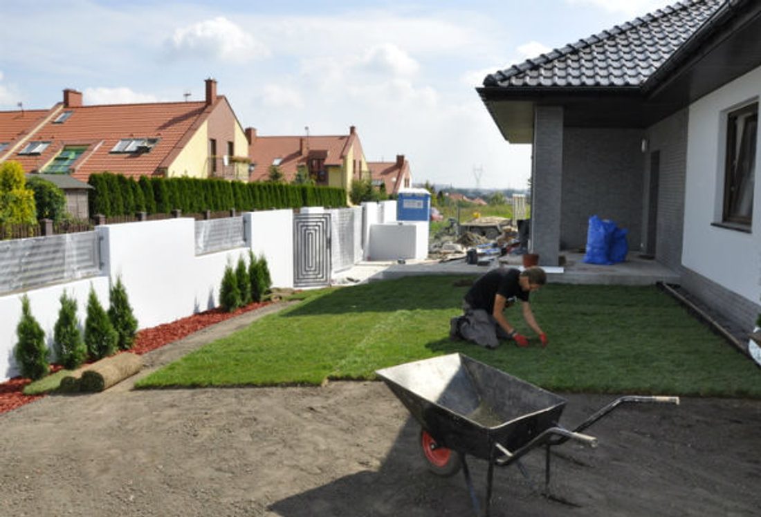 Zakładamy piękny trawnik