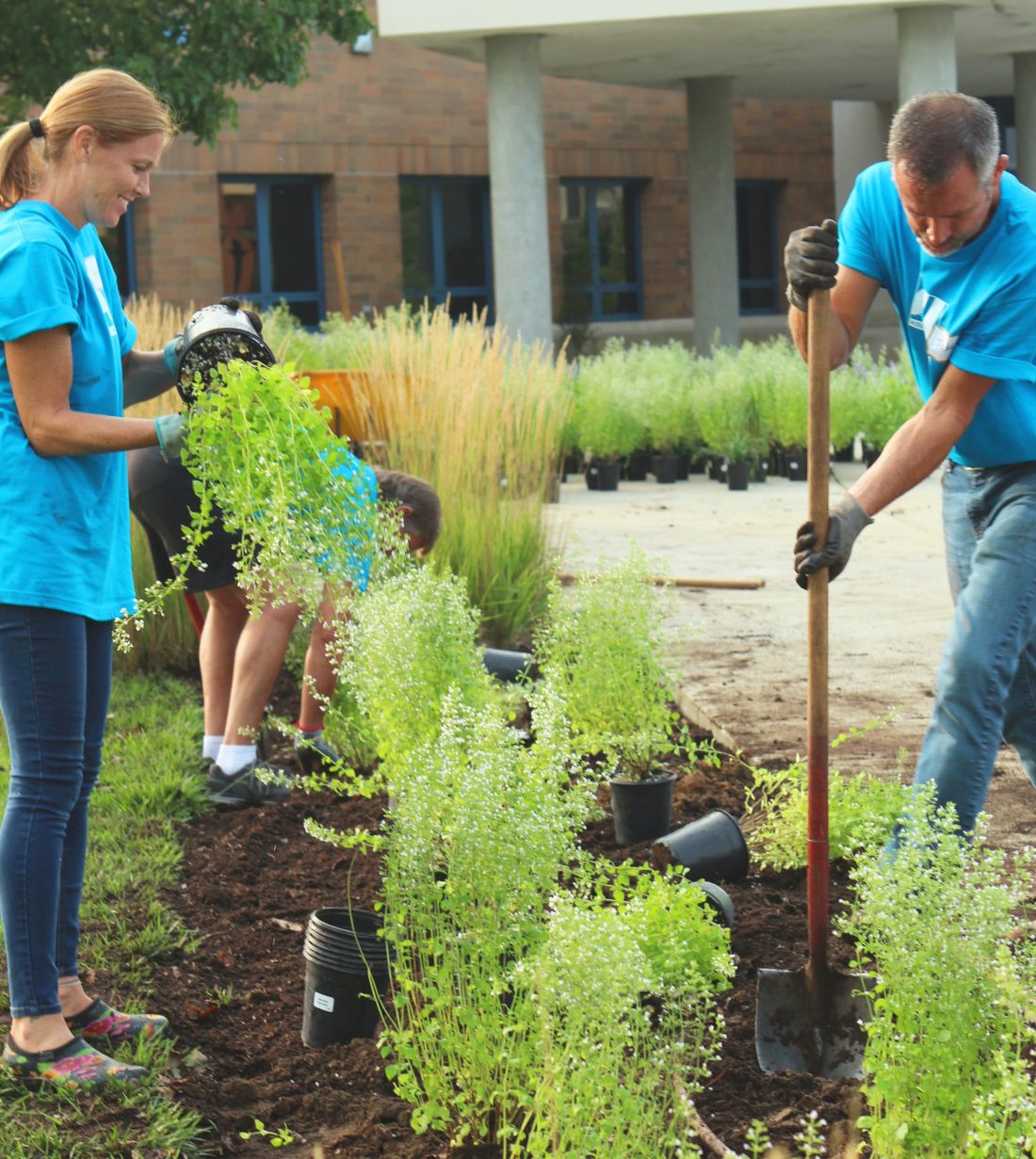 garden-work