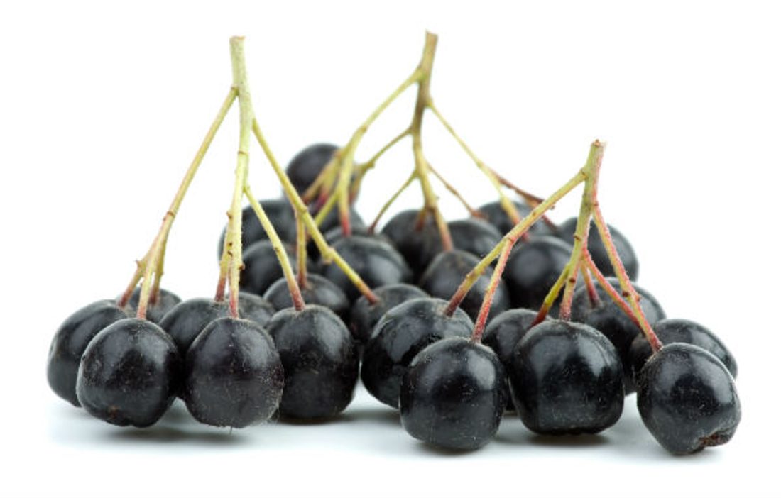 Krzewy owocowe. Owoce aronii berry&more™