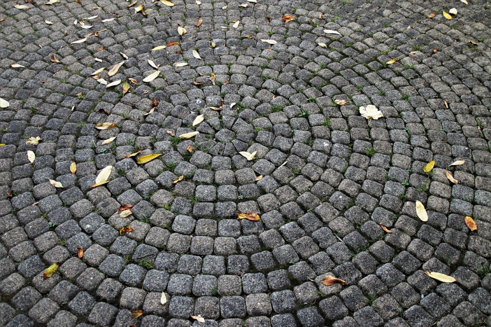 Jakościowa kostka brukowa – materiał na lata