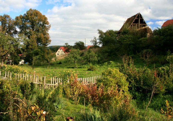 Rustykalny ogród