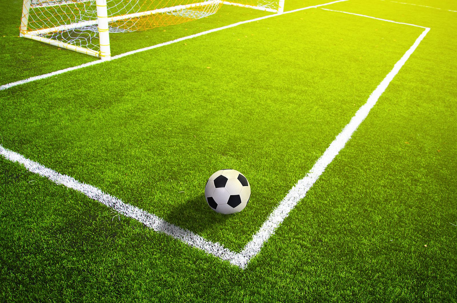 Soccer grass field with marking and ball, Sport