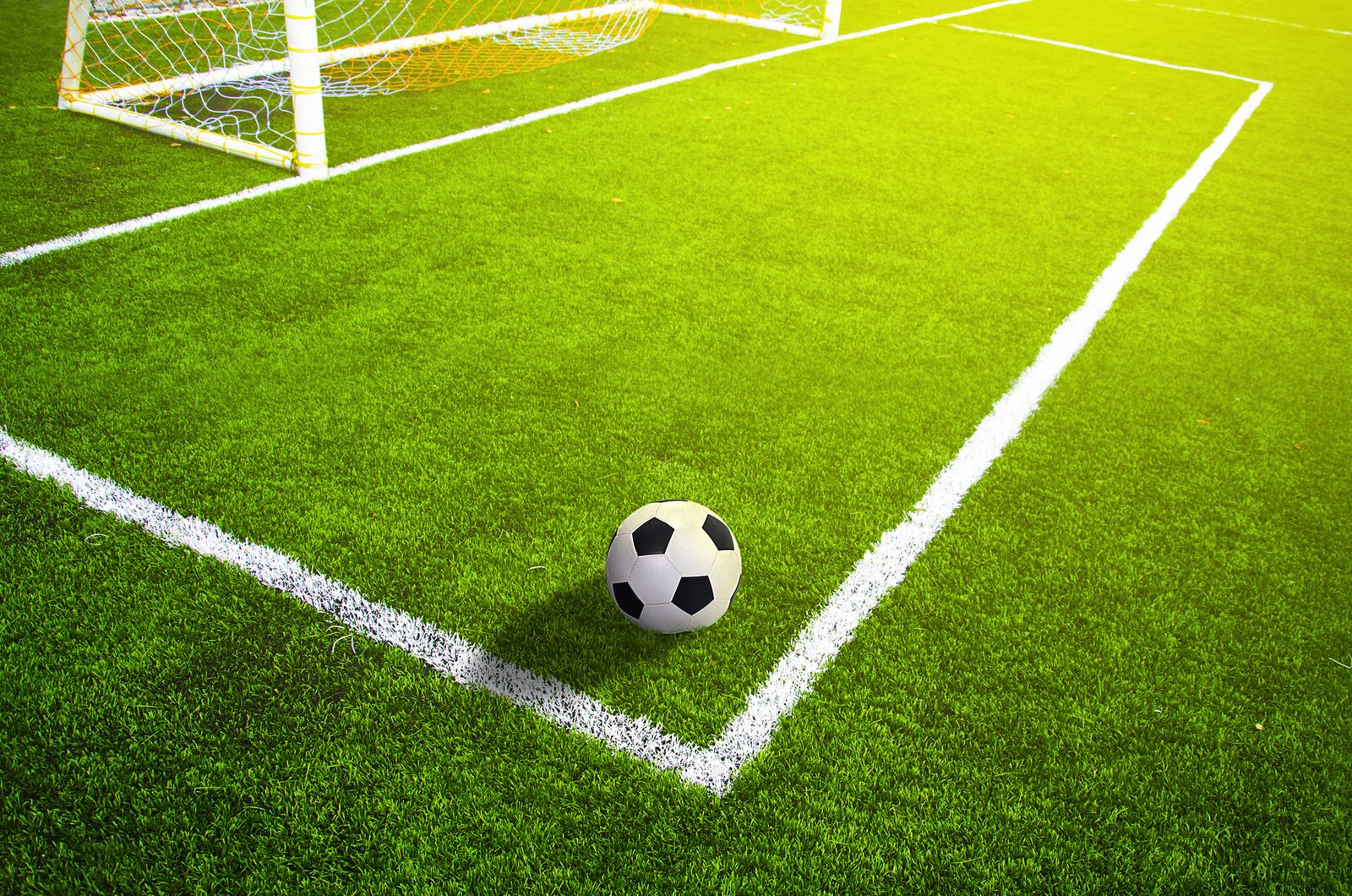 Soccer grass field with marking and ball, Sport