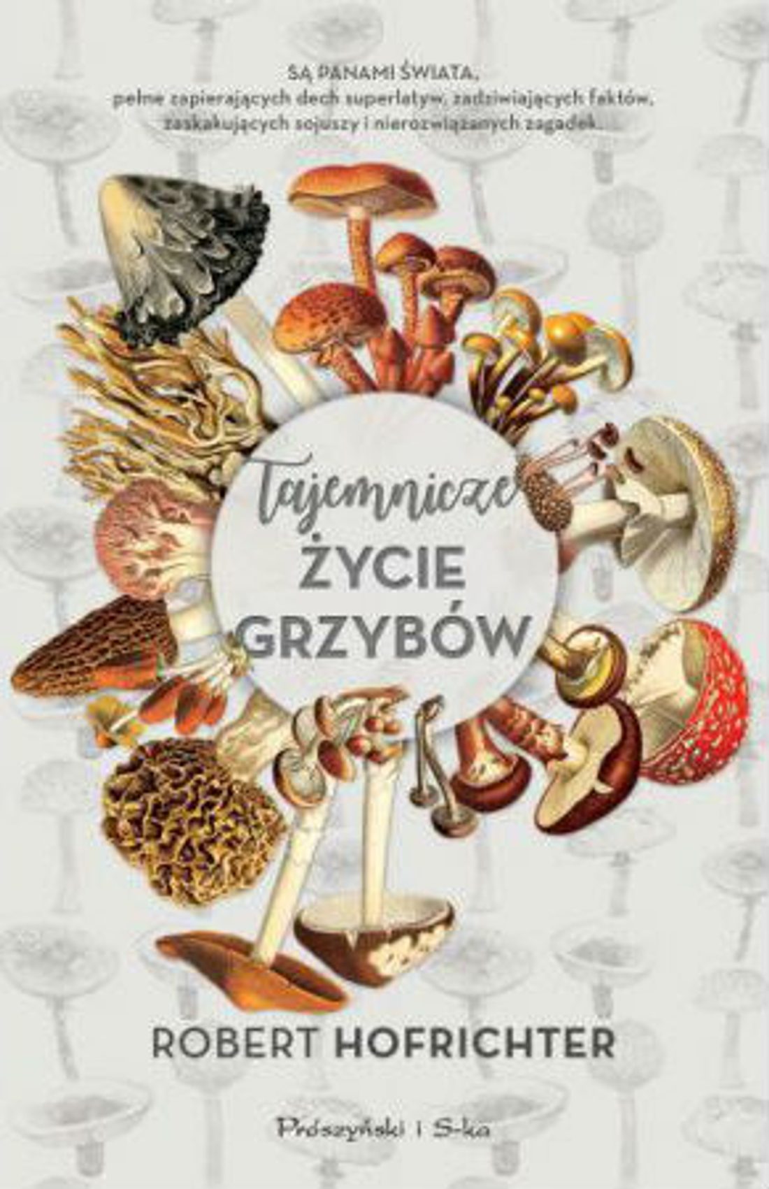 Tajemnicze życie grzybów
