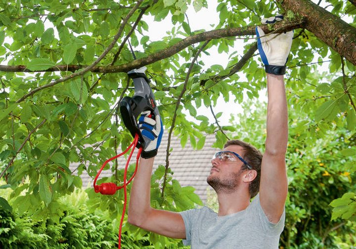 Skil Lynx ogrodowa piła szablasta
