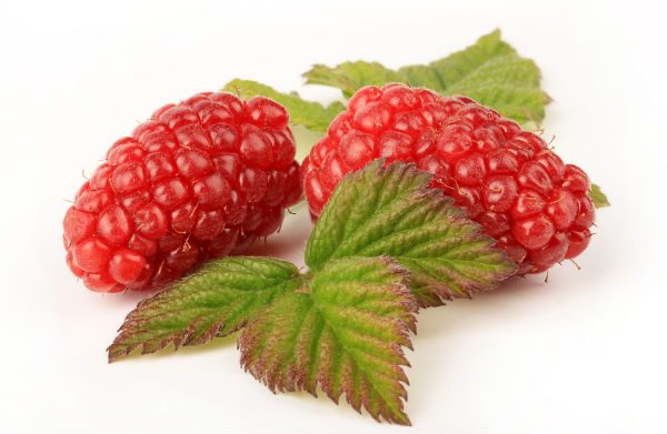 Krzewy owocowe. Owoce malinojezyny berry&more™