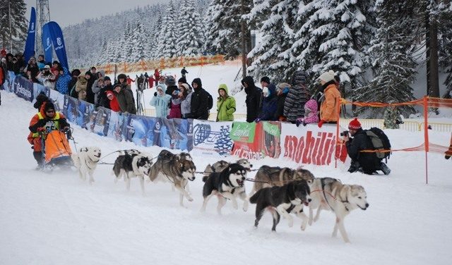 Wyścigi psich zaprzęgów Husqvarna Tour