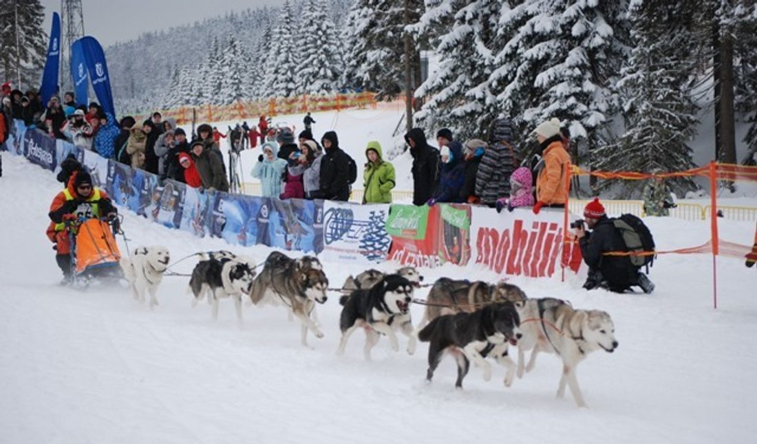 Wyścigi psich zaprzęgów Husqvarna Tour