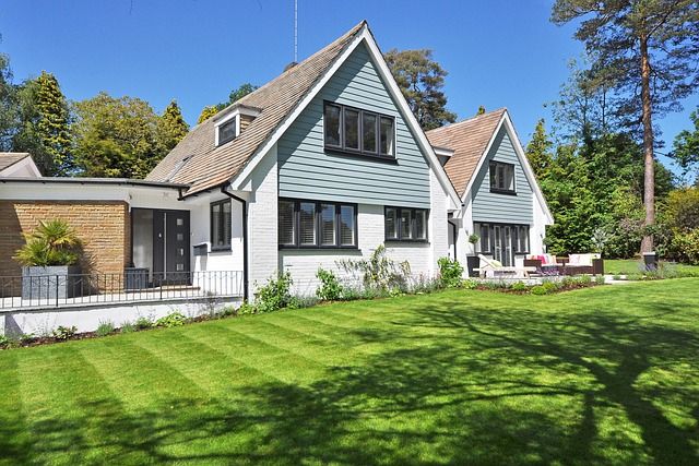 trawa z rolki