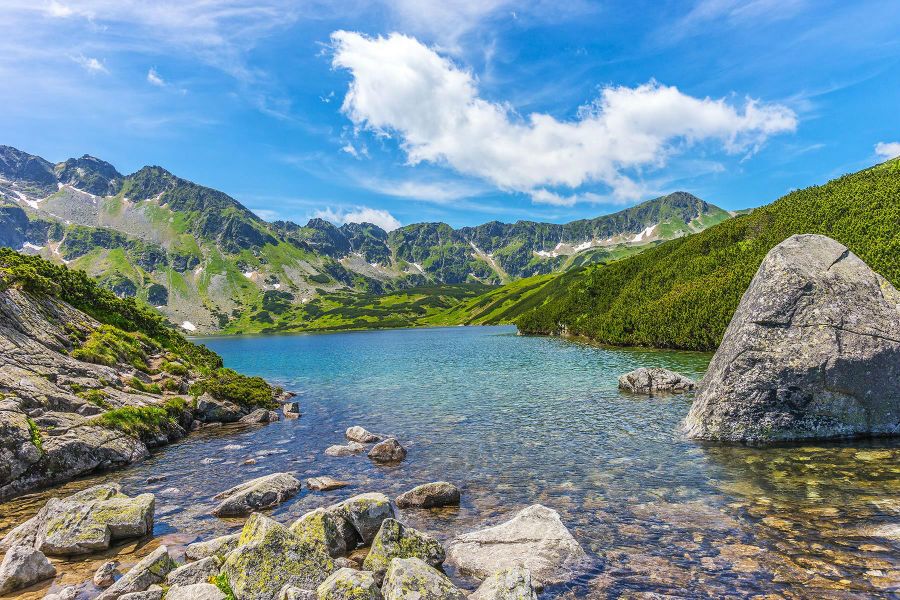 Wyjątkowe obrazy i fototapety do każdego wnętrza