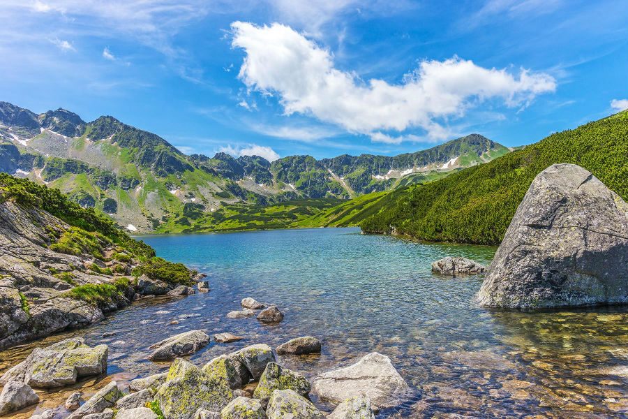 Wyjątkowe obrazy i fototapety do każdego wnętrza