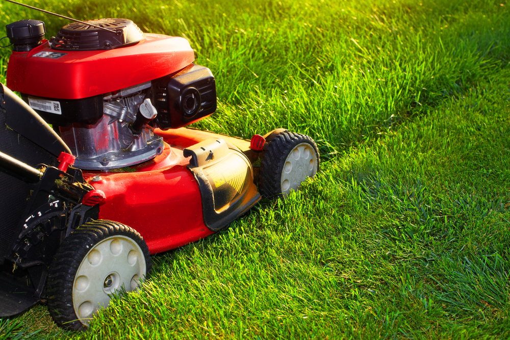 Ilustracja do artykułu „Konserwacja kosiarki – kiedy i jakie prace trzeba wykonać?”