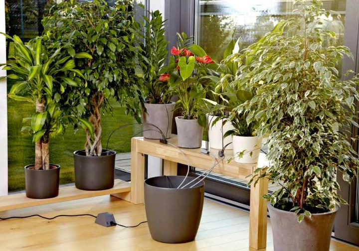 Automatyczna konewka Gardena