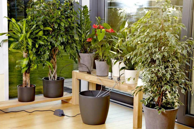 Automatyczna konewka Gardena