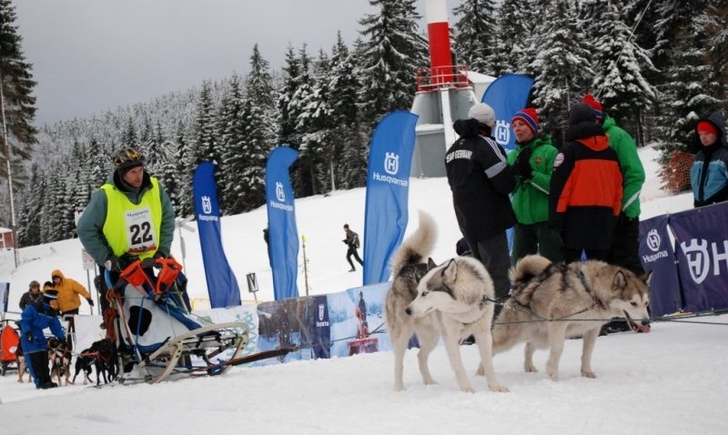Wyścigi psich zaprzęgów Husqvarna Tour