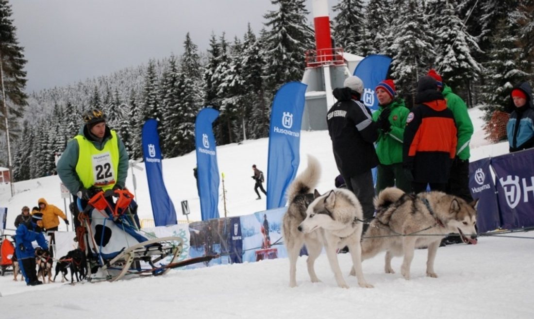 Wyścigi psich zaprzęgów Husqvarna Tour