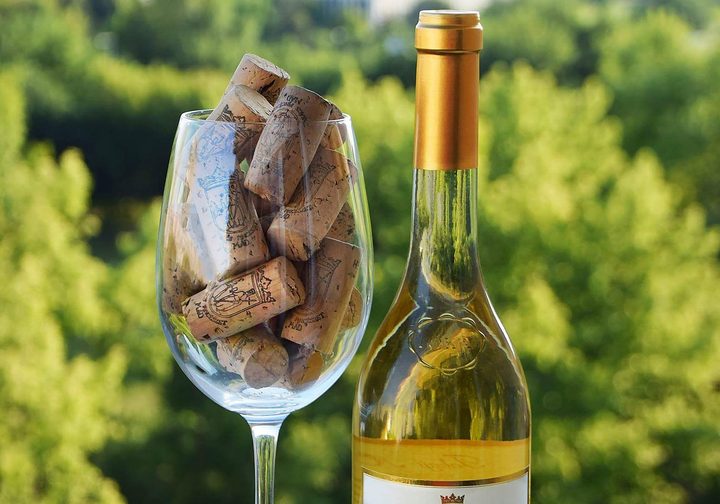 wino
