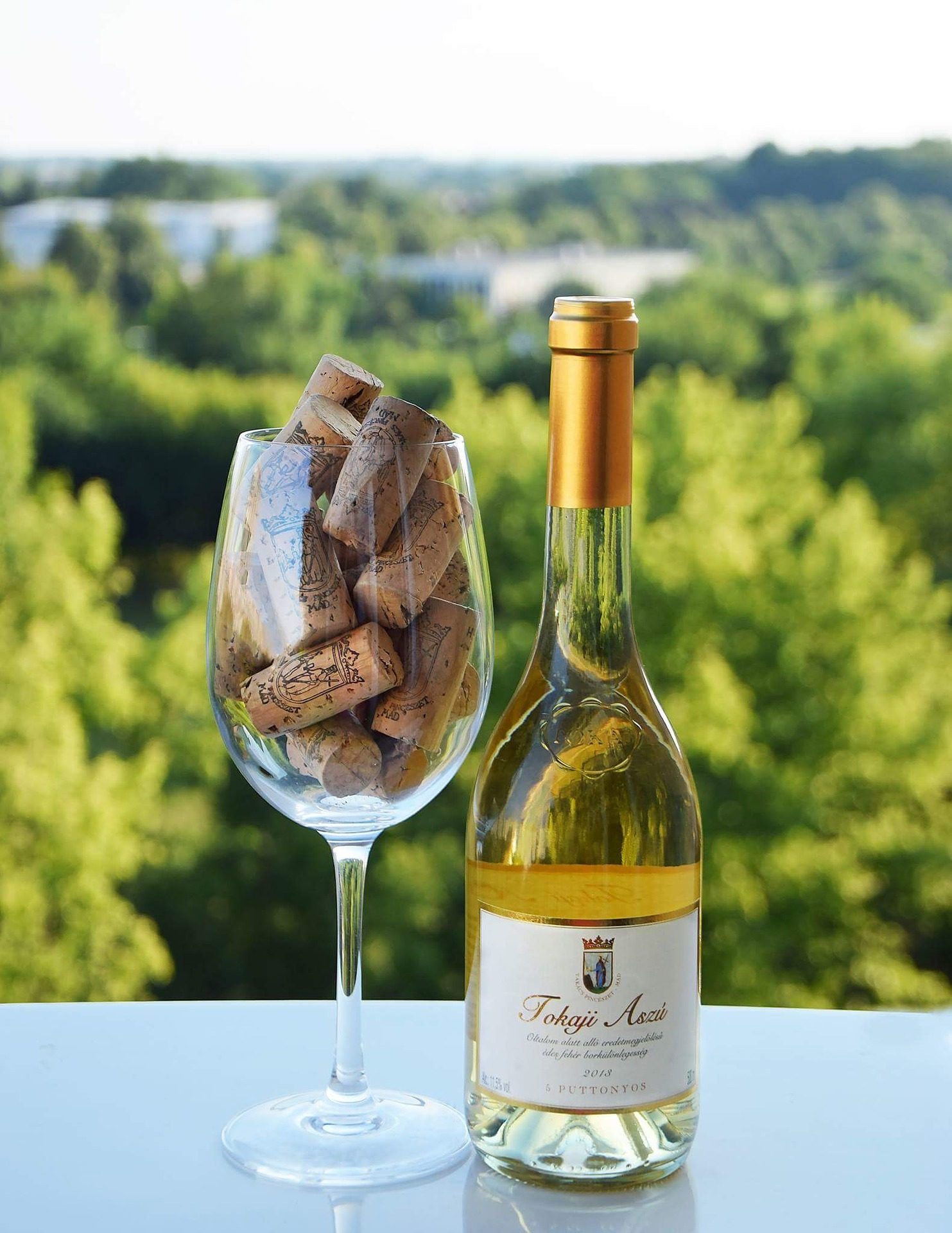 wino